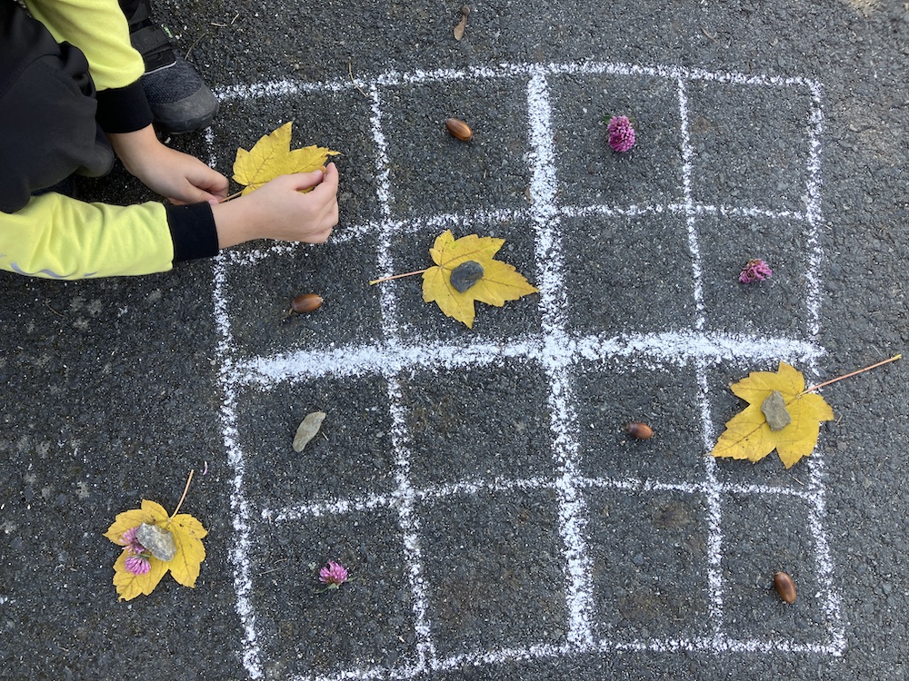 Sudoku nella natura